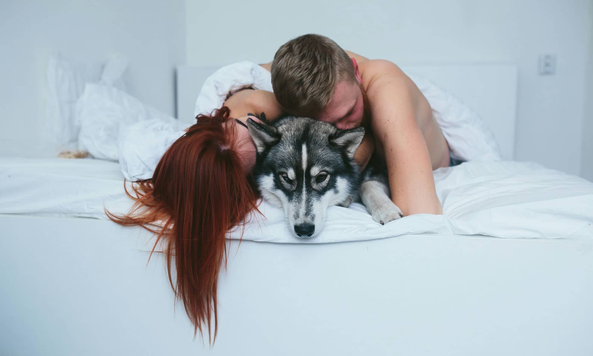 Couple has threesome with dog